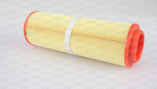 Air Filter (EAF3095.20)