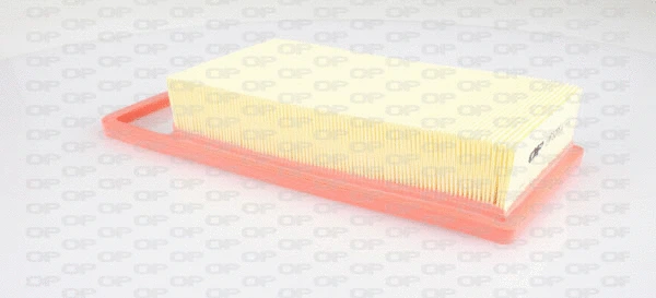 Air Filter (EAF3295.10)