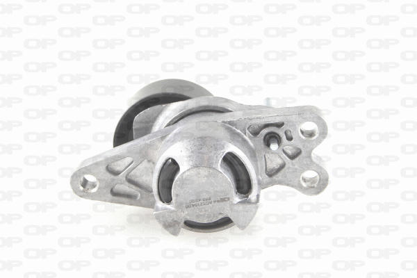 Belt Tensioner, V-ribbed belt (ACT2154.00)