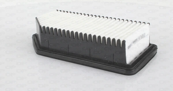 Air Filter (EAF3609.10)