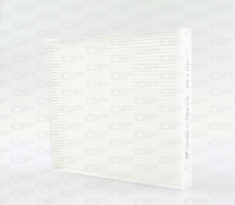 Filter, cabin air (CAF2341.01)