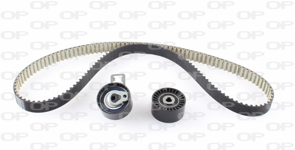 Timing Belt Kit (TBK5161.11)