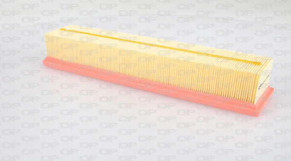 Air Filter (EAF3044.10)