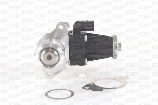 EGR Valve (EGR3004.00)