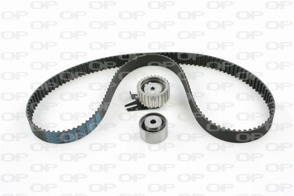 Timing Belt Kit (TBK5020.01)