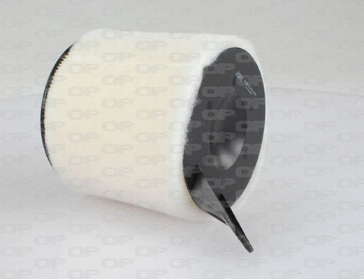 Air Filter (EAF3271.20)