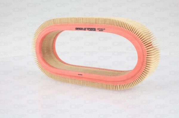 Air Filter (EAF3381.20)