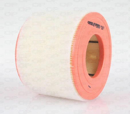 Air Filter (EAF3618.20)