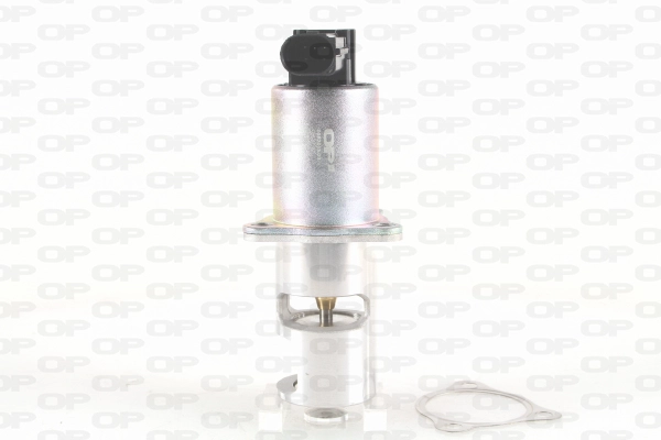 EGR Valve (EGR3015.00)