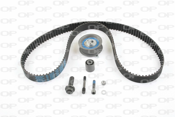 Timing Belt Kit (TBK5036.11)