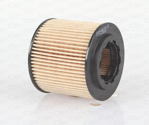 Oil Filter (EOF4028.10)