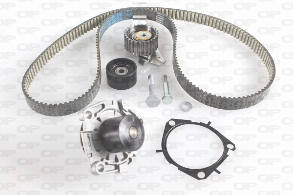 Water Pump & Timing Belt Kit (WTBK5029.00)