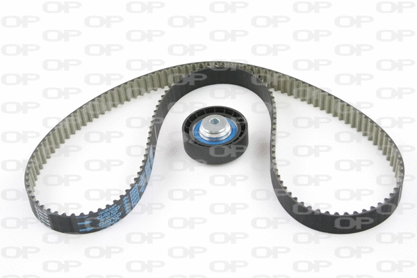 Timing Belt Kit (TBK5054.11)