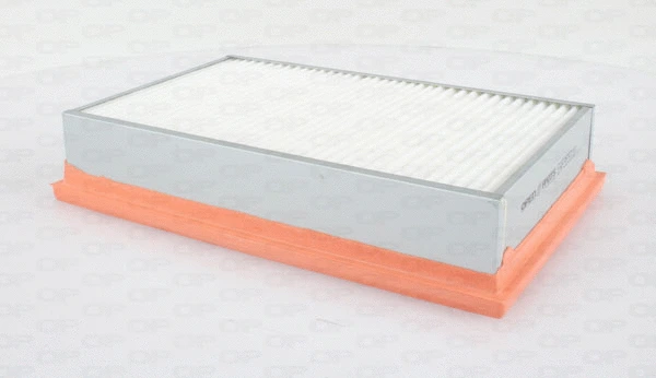 Air Filter (EAF3550.10)