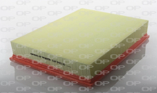 Air Filter (EAF3461.10)
