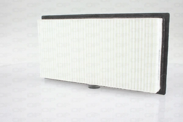 Air Filter (EAF3604.10)