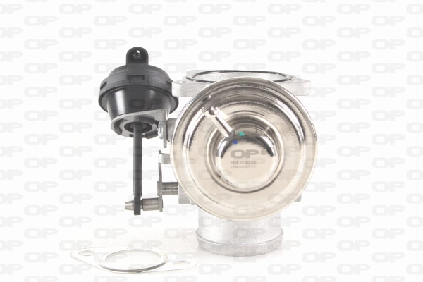 EGR Valve (EGR3030.00)