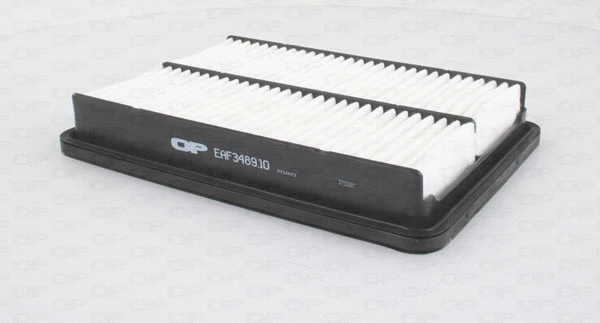 Air Filter (EAF3489.10)