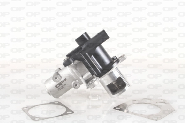 EGR Valve (EGR3022.00)