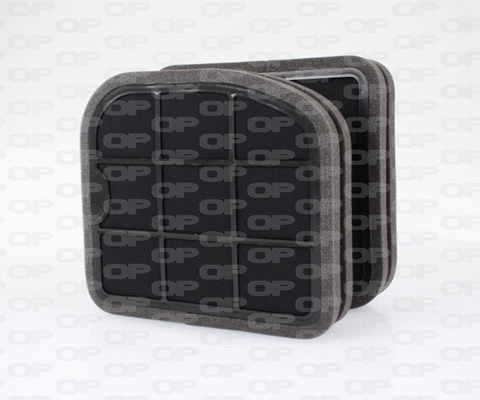 Filter, cabin air (CAF2105.12)