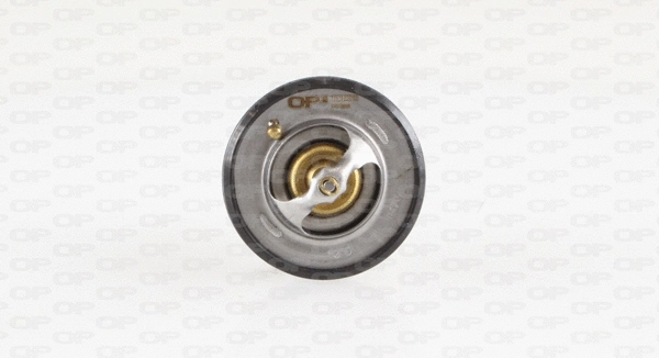 Thermostat, coolant (TRM1007.00)
