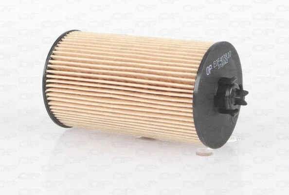 Oil Filter (EOF4038.10)