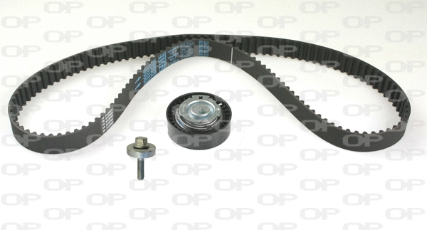 Timing Belt Kit (TBK5111.11)