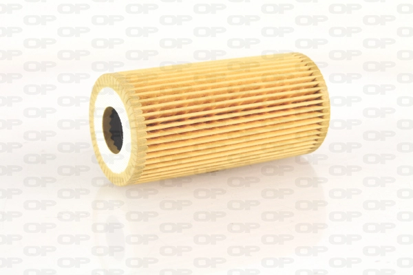 Oil Filter (EOF4270.10)