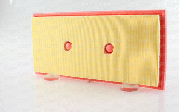 Air Filter (EAF3671.10)