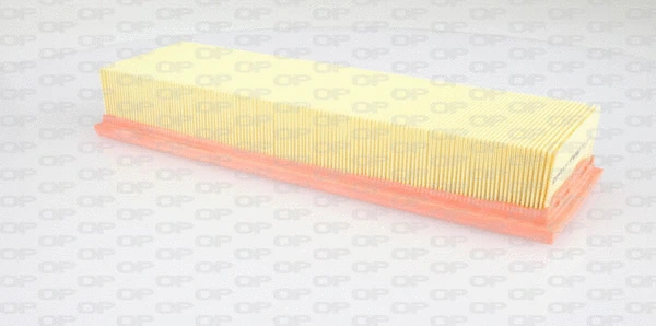 Air Filter (EAF3285.10)