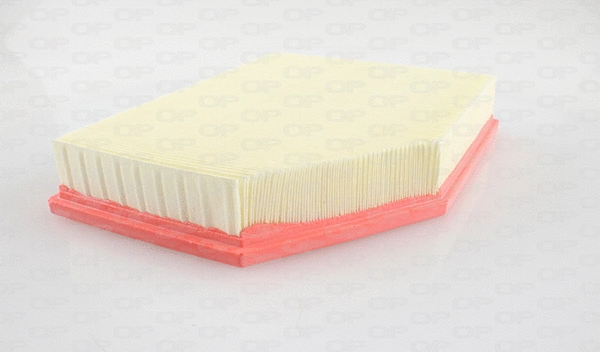 Air Filter (EAF3707.10)