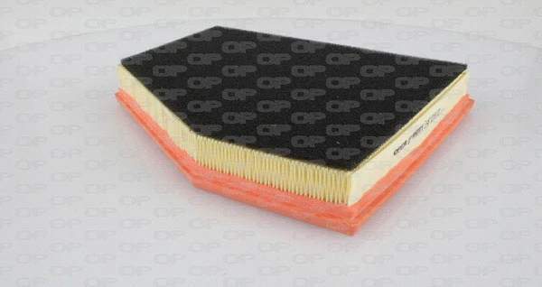 Air Filter (EAF3289.10)