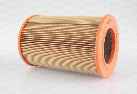 Air Filter (EAF3586.20)