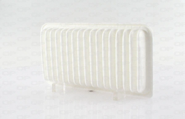 Air Filter (EAF3670.10)