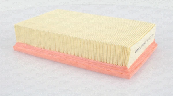 Air Filter (EAF3554.10)