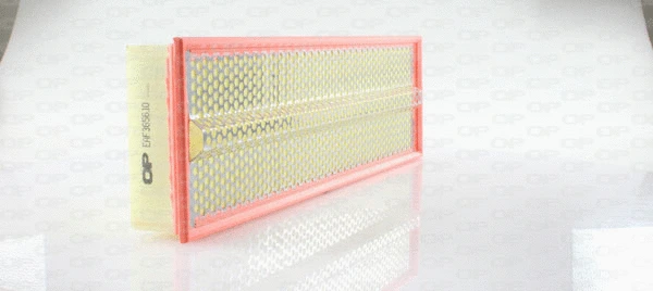 Air Filter (EAF3656.10)