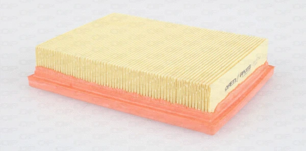 Air Filter (EAF3397.10)
