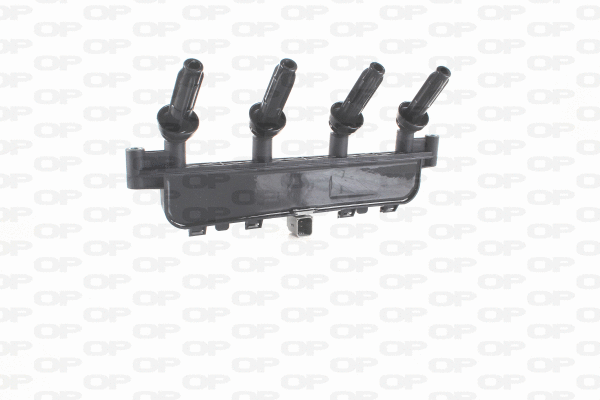 Ignition Coil (IGN1024.00)