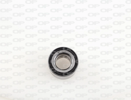 Wheel Bearing Kit (HBK5058.01)