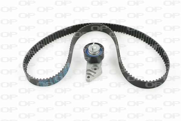 Timing Belt Kit (TBK5024.01)
