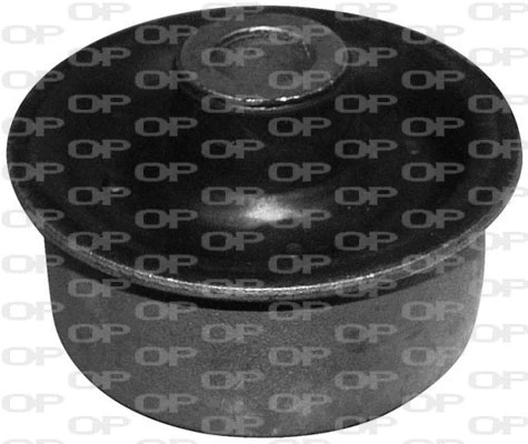 Mounting, control/trailing arm (SSS1044.11)