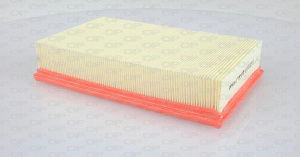 Air Filter (EAF3321.10)