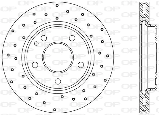 Brake Disc (BDRS1700.25)
