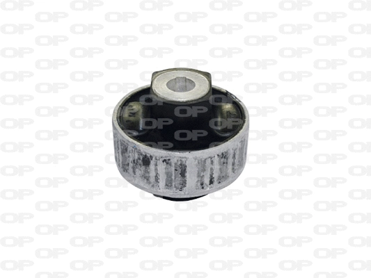 Mounting, control/trailing arm (SSS1246.11)