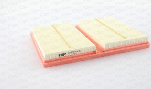 Air Filter (EAF3649.10)