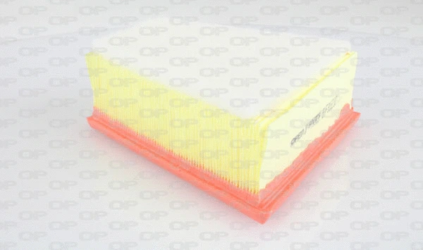 Air Filter (EAF3182.10)