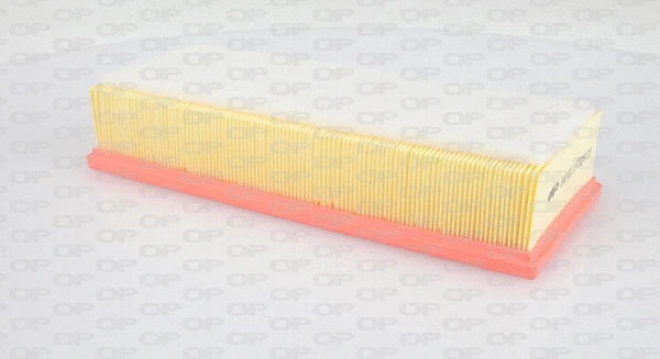 Air Filter (EAF3133.10)