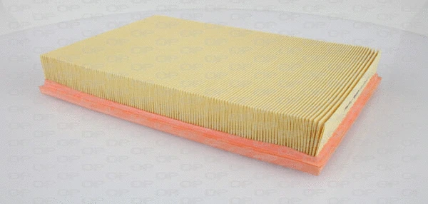 Air Filter (EAF3353.10)