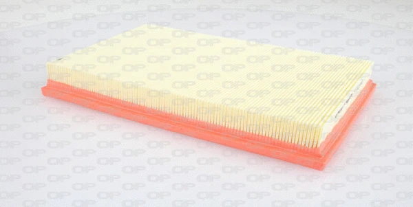 Air Filter (EAF3230.10)