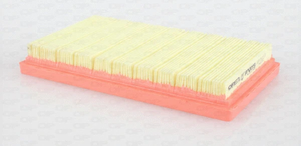 Air Filter (EAF3622.10)